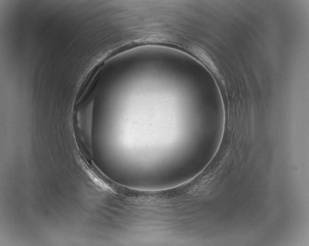 X0000073470389200608111541