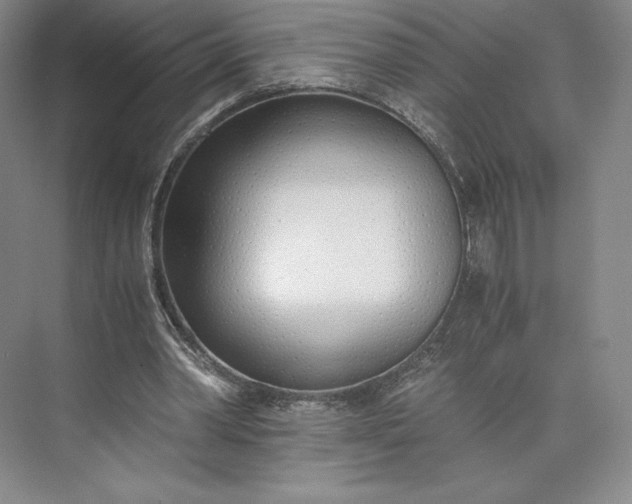 X0000073470390200608111541