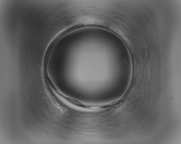 X0000073470391200608111541