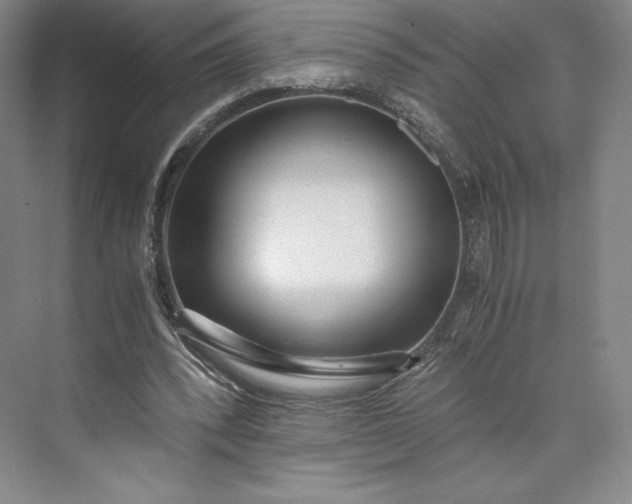 X0000073470392200608111541