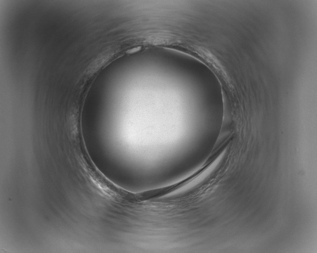 X0000073470393200608111541