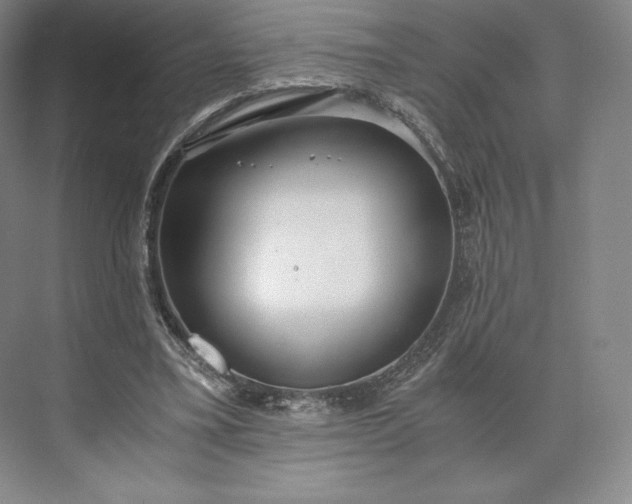 X0000073470395200608111541