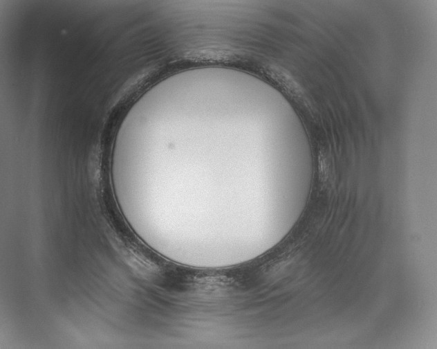 X0000073470396200608111541