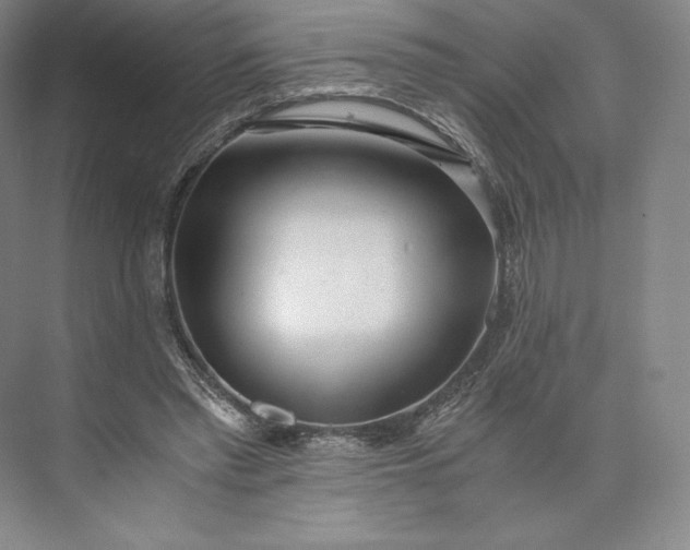 X0000073470397200608111541