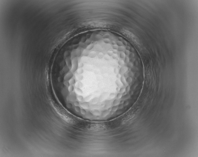 X0000073470398200608111541