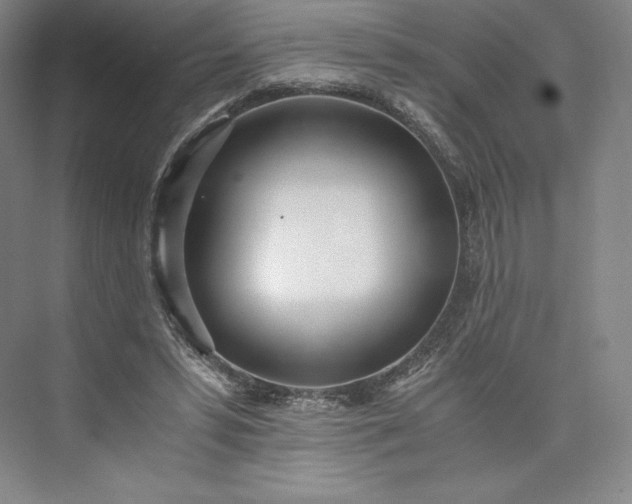 X0000073470399200608111541