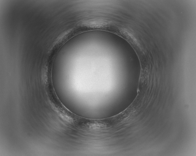 X0000073470400200608111541