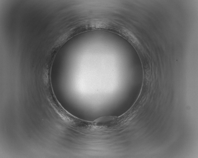 X0000073470401200608111541