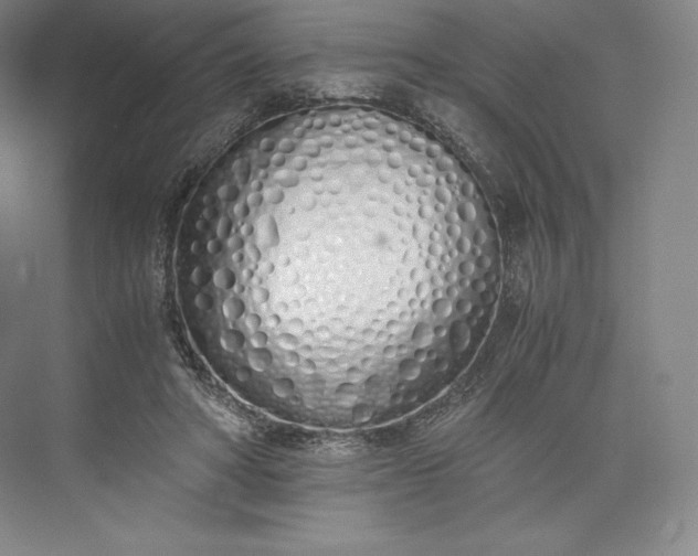 X0000073470402200608111541