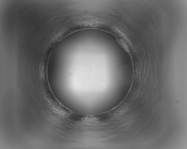 X0000073470403200608111541