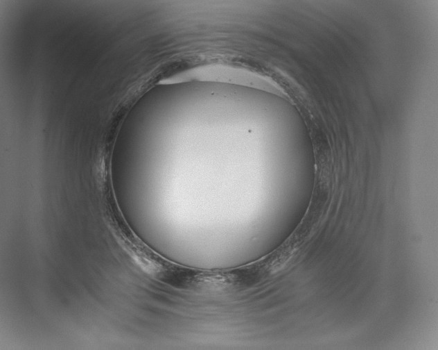 X0000073470405200608111541