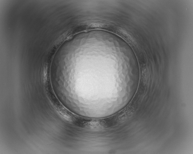 X0000073470406200608111541