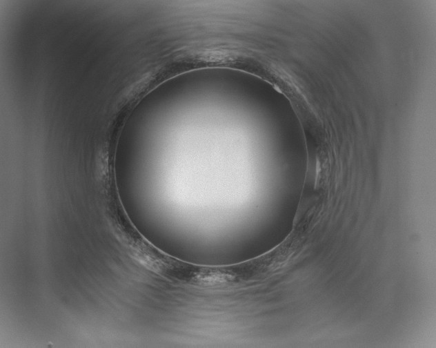 X0000073470407200608111541