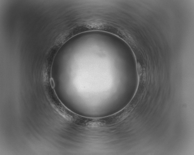 X0000073470408200608111541