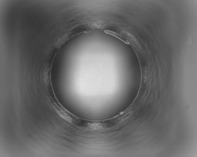 X0000073470409200608111541