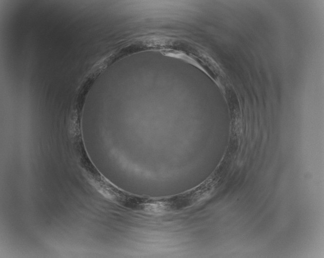 X0000073470411200608111541