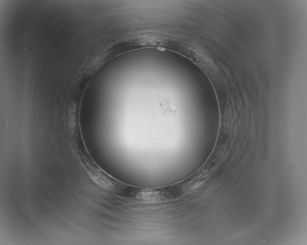 X0000073470413200608111541