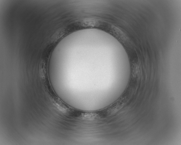 X0000073470414200608111541