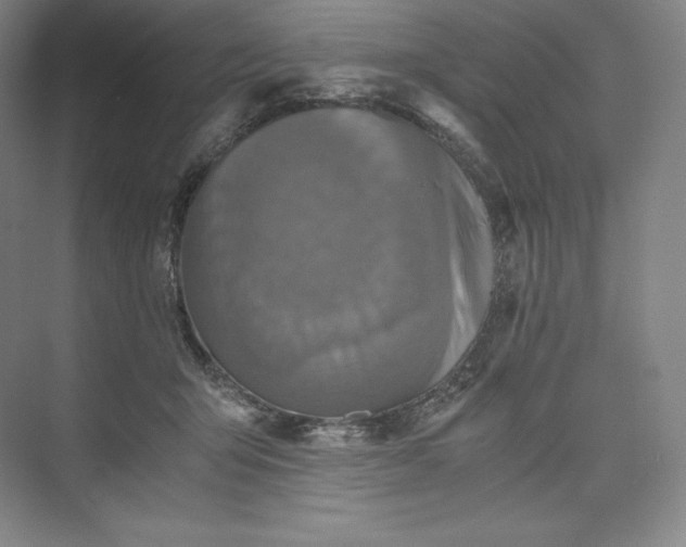 X0000073470415200608111541