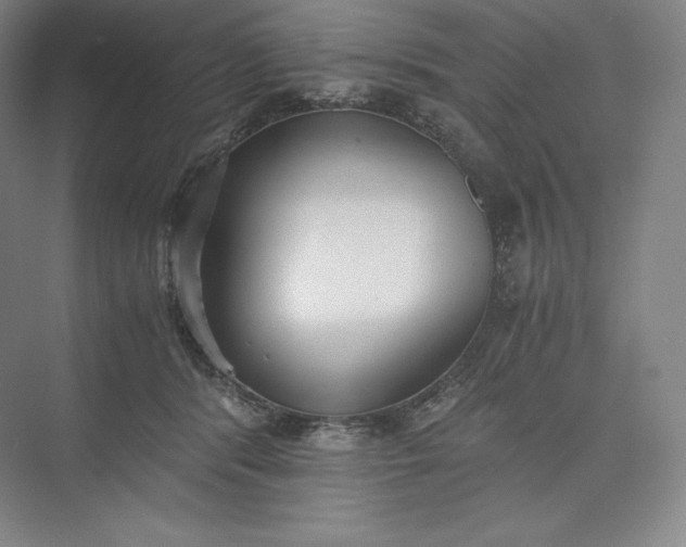 X0000073470416200608111541