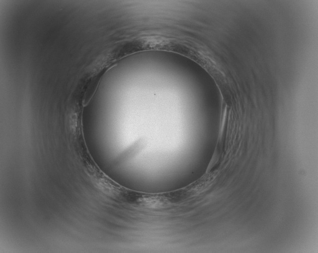 X0000073470417200608111541