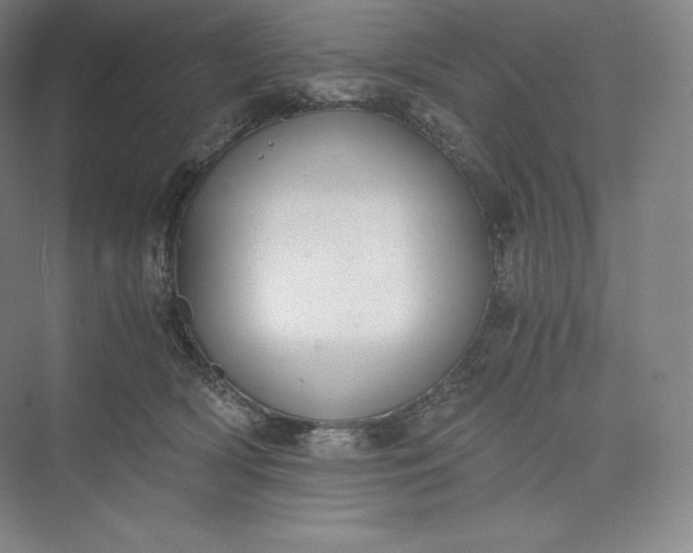 X0000073470418200608111541