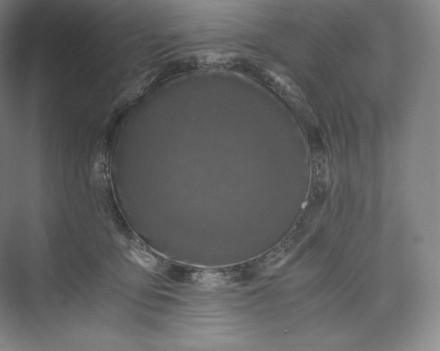 X0000073470419200608111541