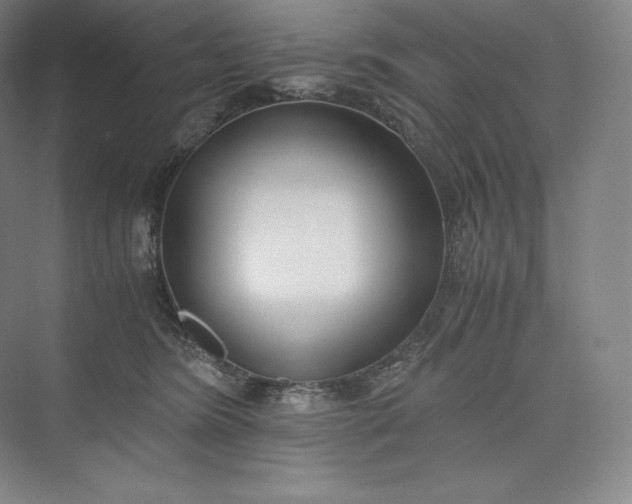 X0000073470420200608111541