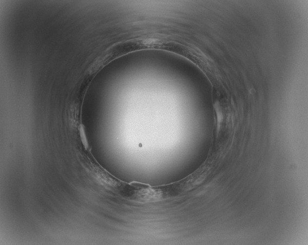 X0000073470421200608111541