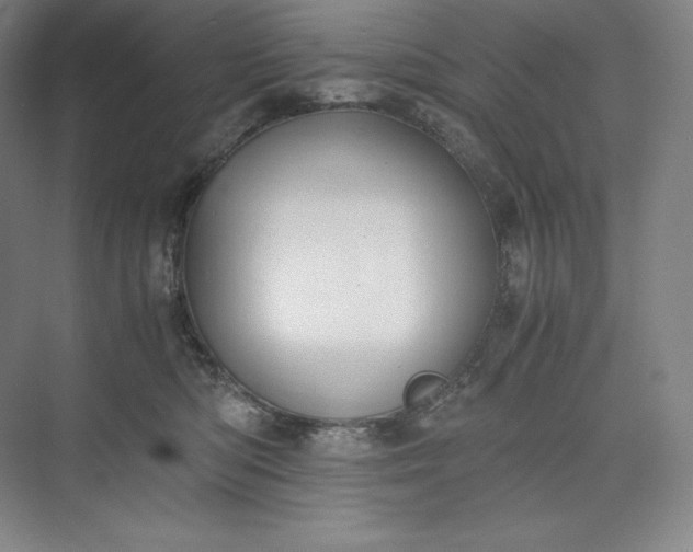 X0000073470422200608111541