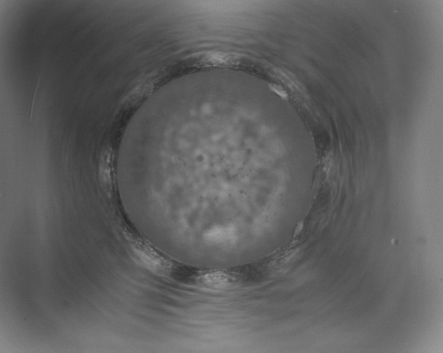 X0000073470423200608111541