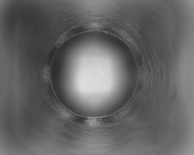 X0000073470425200608111541