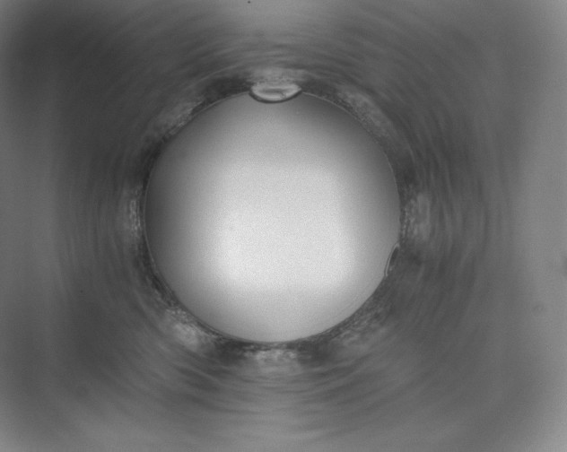 X0000073470426200608111541