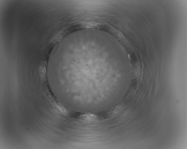 X0000073470427200608111541