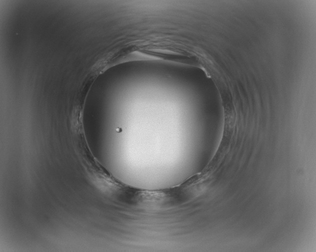 X0000073470429200608111541