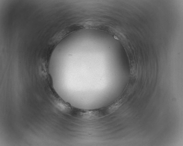 X0000073470430200608111541