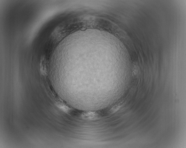 X0000073470431200608111541