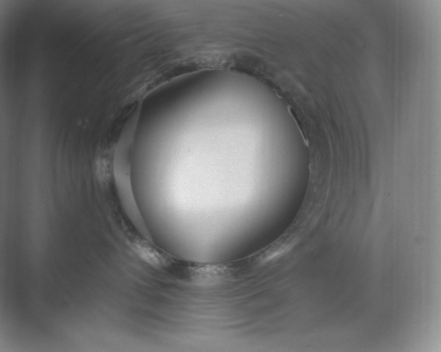 X0000073470432200608111541