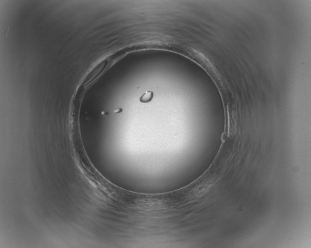 X0000073470435200608111540