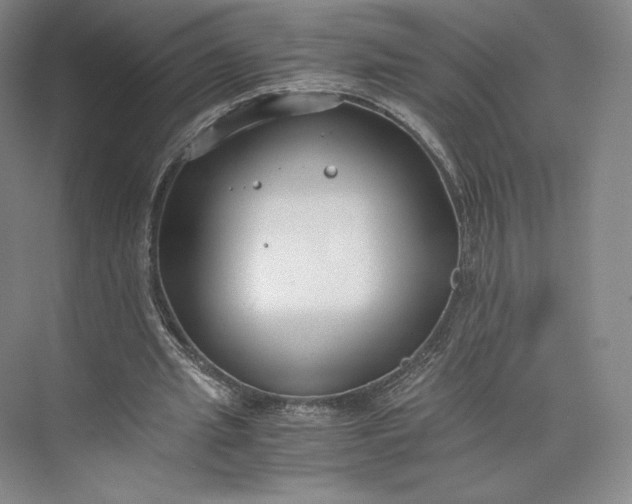 X0000073470437200608111540