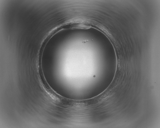 X0000073470438200608111540