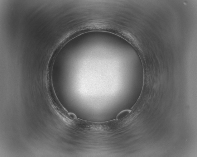 X0000073470439200608111540