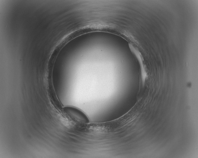 X0000073470440200608111540