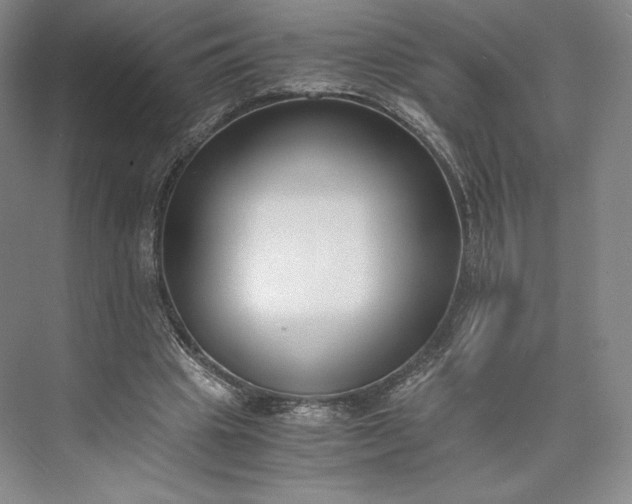 X0000073470441200608111540