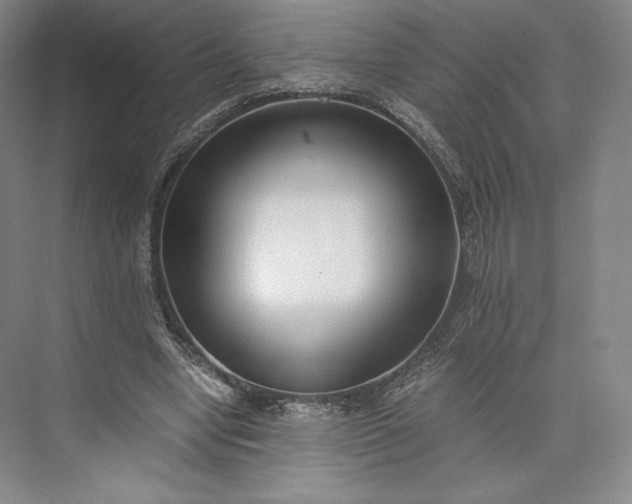 X0000073470442200608111540