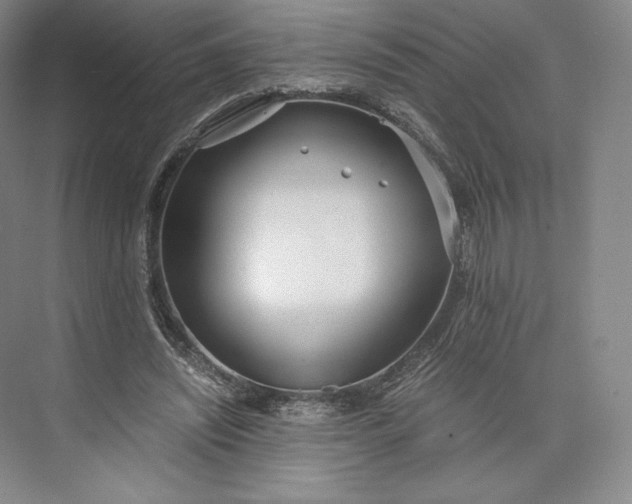 X0000073470444200608111540