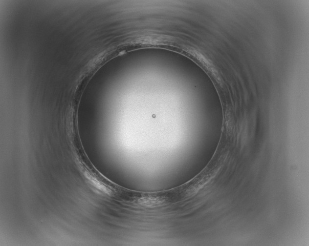 X0000073470445200608111540