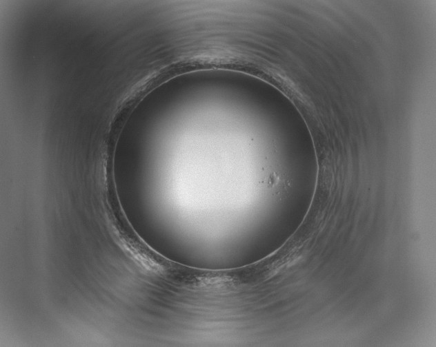 X0000073470446200608111540