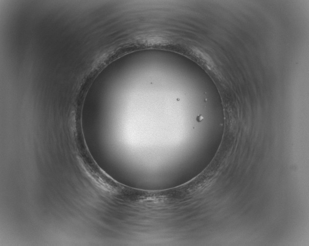 X0000073470447200608111540