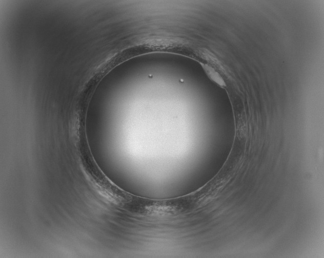 X0000073470448200608111540